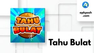 Tahu Bulat APK