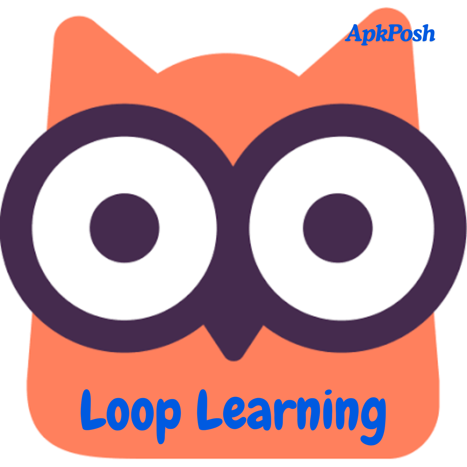 Loop Learning