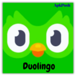 Duolingo
